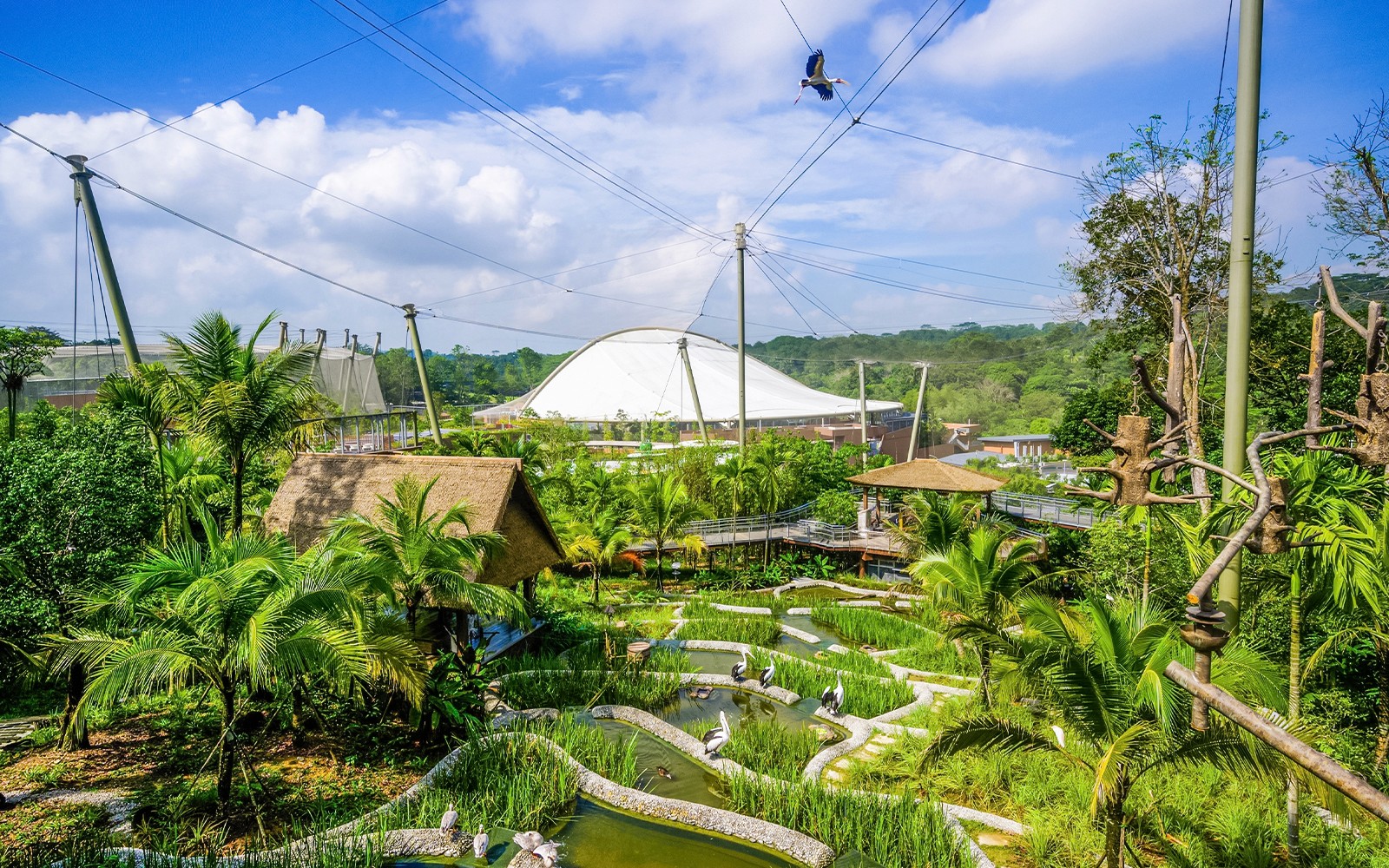 Bird Paradise Tickets | Mandai Wildlife Reserve — gallery 5