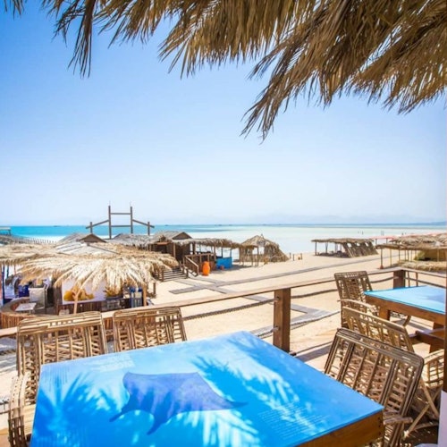 Orange Bay Island: Snorkeling Tour from Hurghada + Water Sports + Lunch — gallery 3