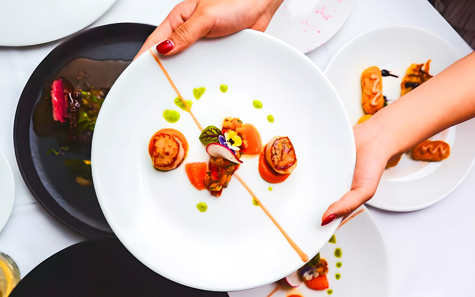 Luxury Gold Penfolds 6-Course Dinner Cruise on Sydney Harbour