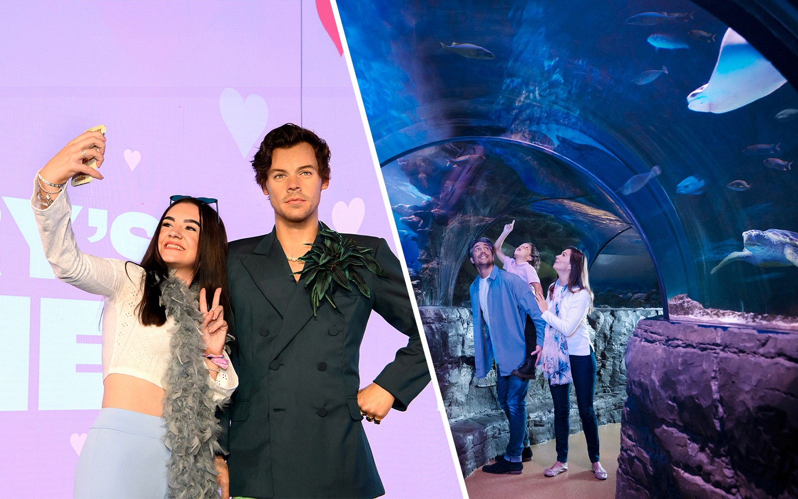 Combo: Madame Tussauds + SEA LIFE London Aquarium Tickets — main image