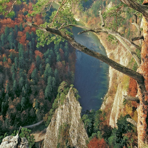 Dunajec: River Rafting Day Trip from Krakow — gallery 2