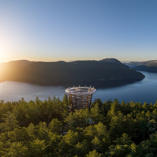 Vancouver Island: Malahat SkyWalk Entry Ticket