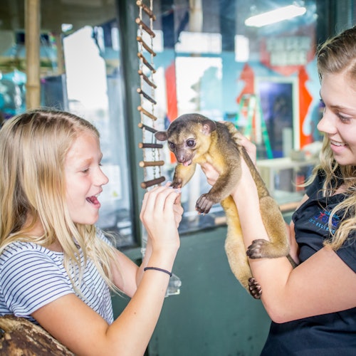 Austin Aquarium: Entry Ticket