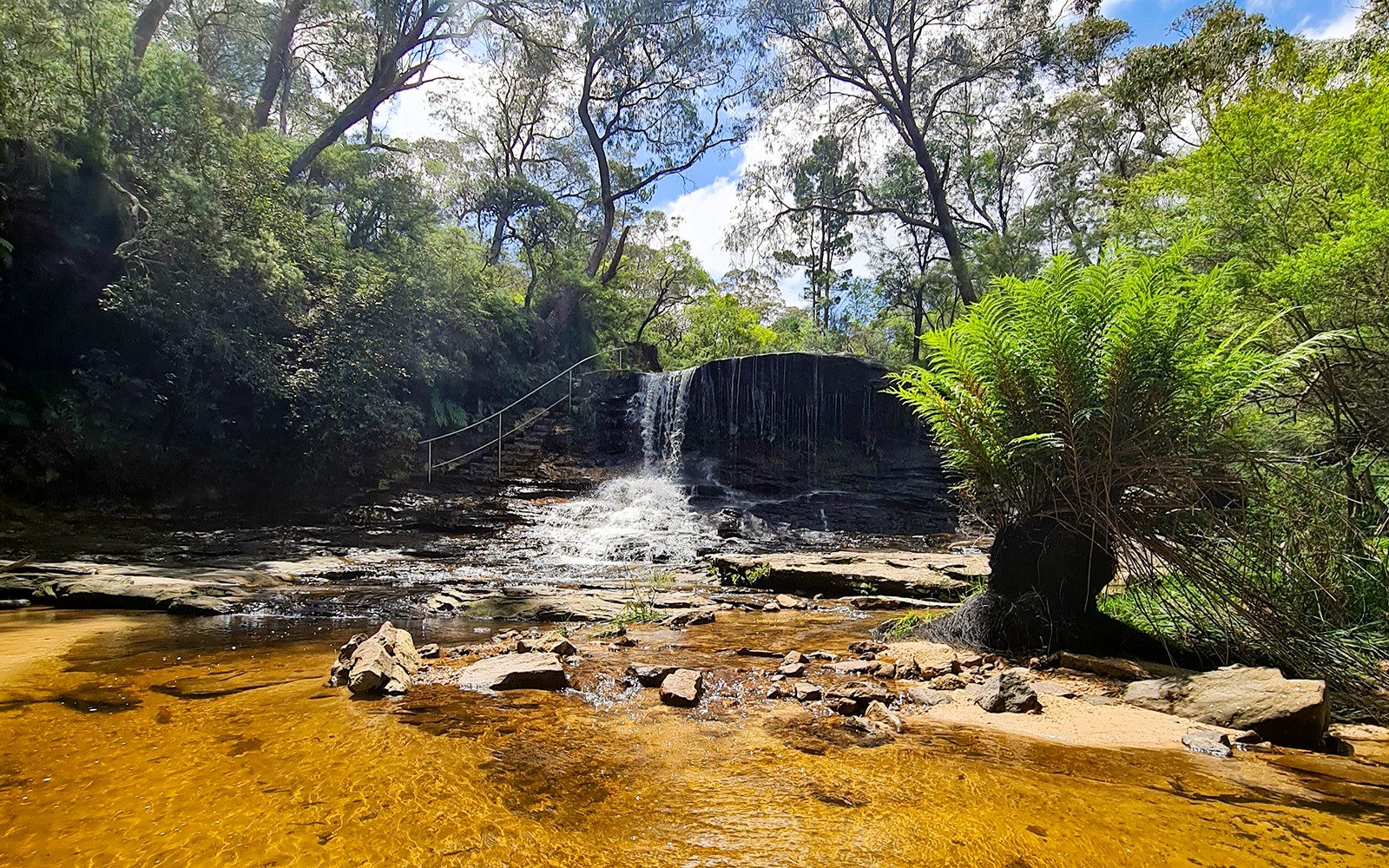 Blue Mountains Off the Beaten Path Guided Bushwalks, Secret Lookouts & BBQ Lunch