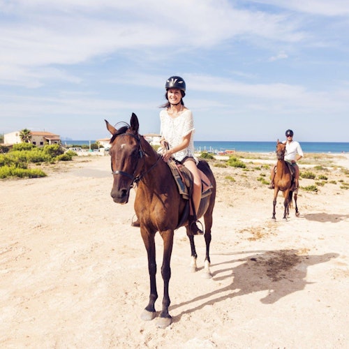 Horse Riding Tour: Sea and Desert with Transfer - Hurghada — gallery 5
