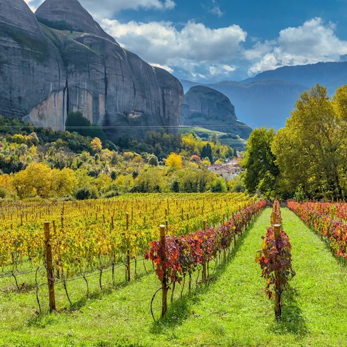 Meteora: Guided Day Trip from Athens — gallery 4