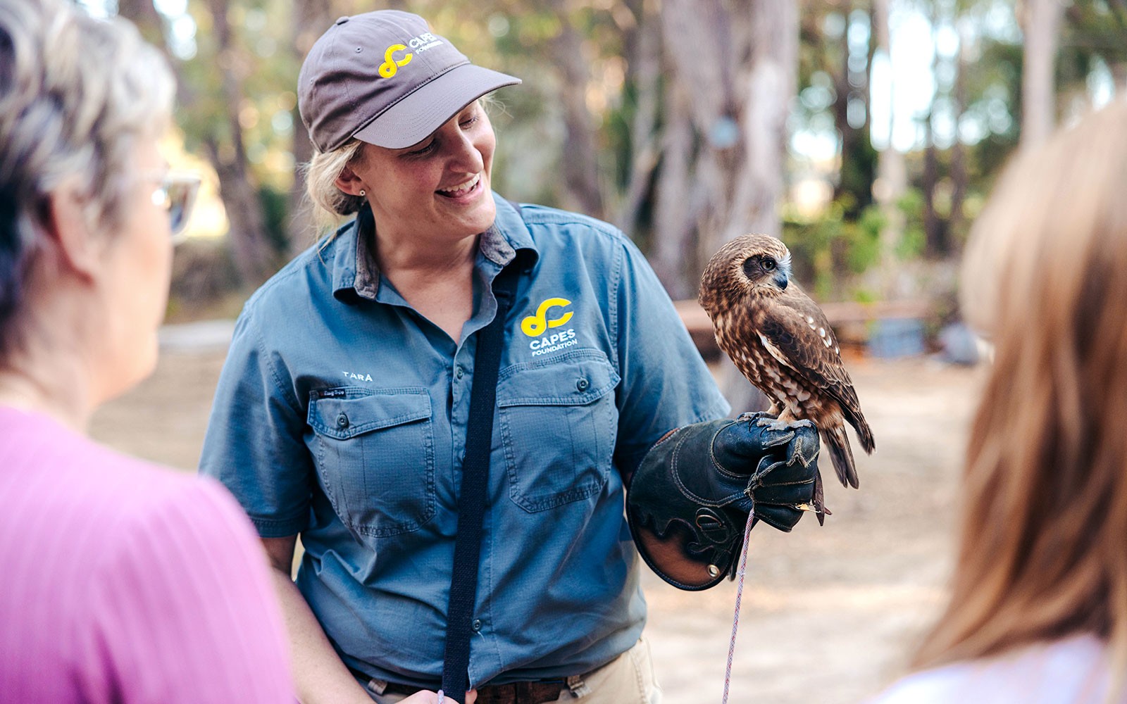 Margaret River: Capes Raptor Centre Tickets with Birds of Prey Show & Owl Photo
