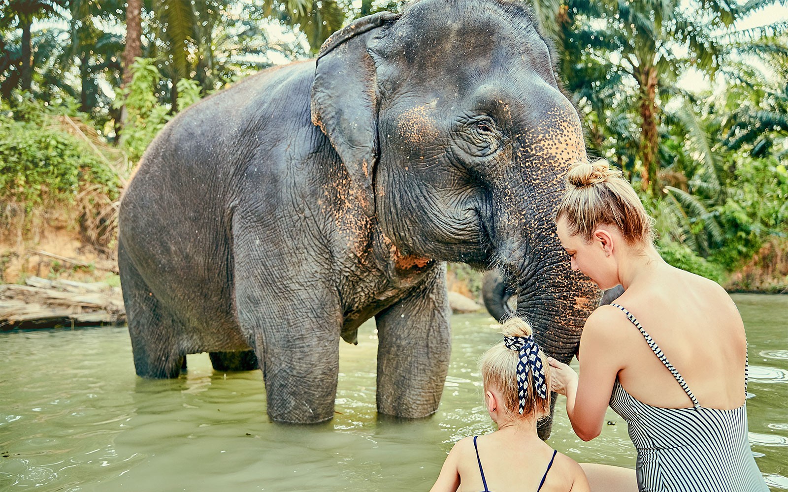 Elephant Jungle Sanctuary Tickets in Pattaya — gallery 3