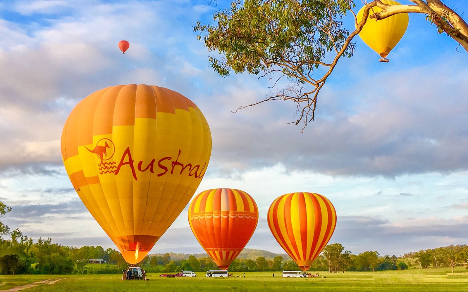 Tickets for Brisbane Classic Ballooning & Vineyard Champagne Breakfast — gallery 1