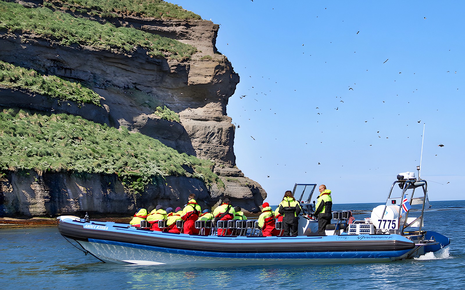 Husavik: Whale Watching and Puffin Tour on RIB speedboat — gallery 5
