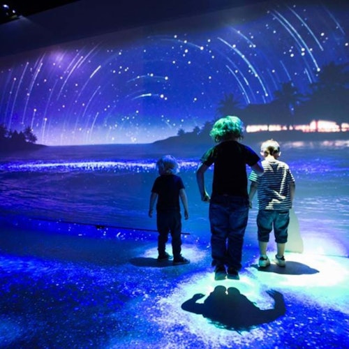 SEA LIFE Brighton: Standard Ticket — gallery 2