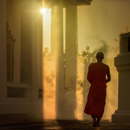 Bangkok: Buddhist Monks Almsgiving, Flower Market & Wat Arun Private Tour — gallery 2