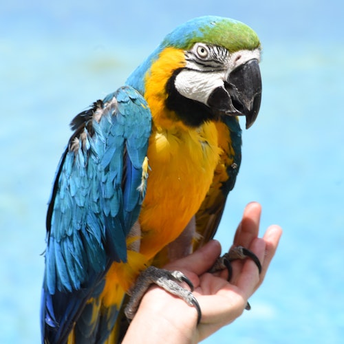 Terra Natura Murcia: Entry Ticket — gallery 1