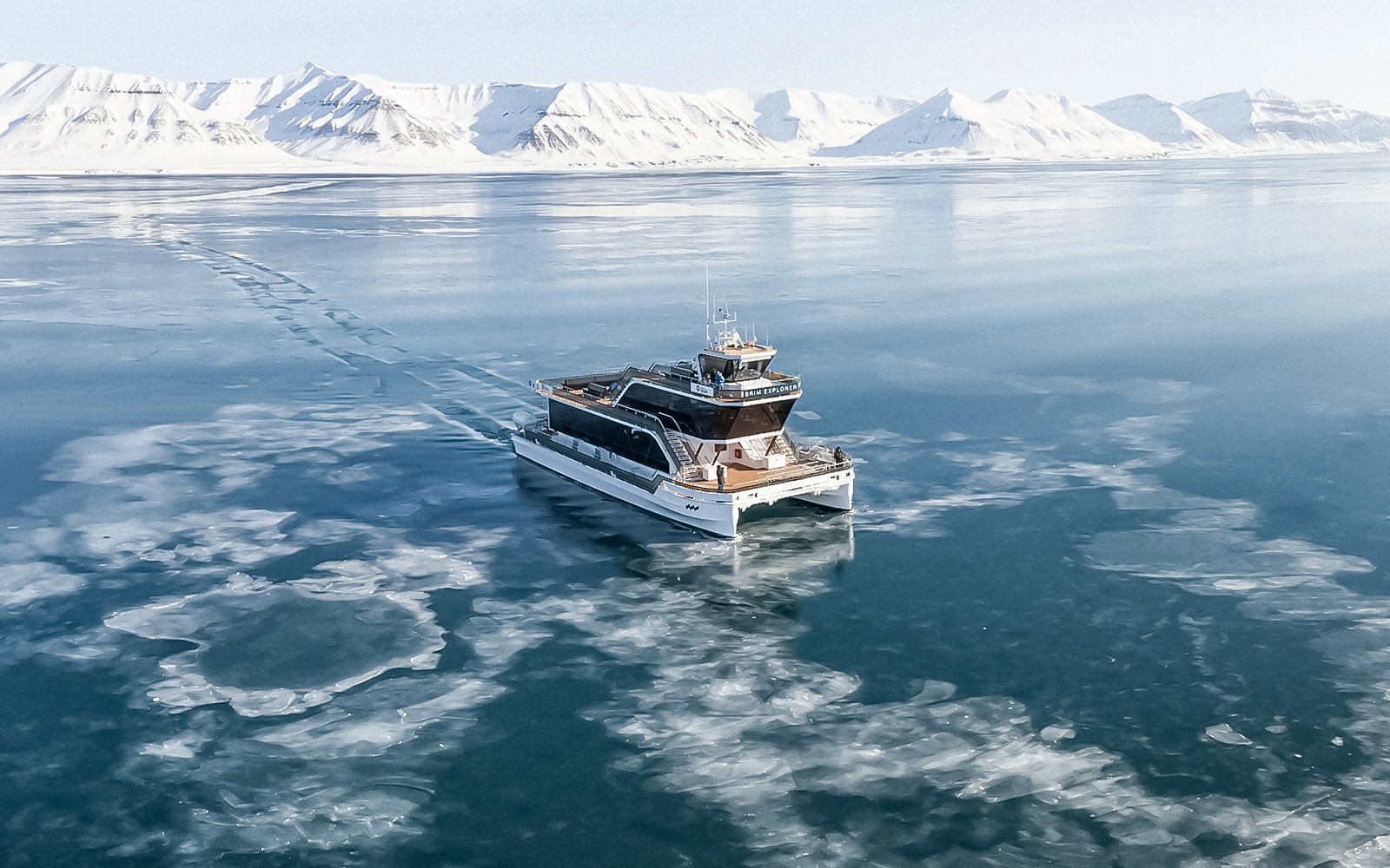 From Tromso: Arctic Fjord Cruise & Wildlife Tour
