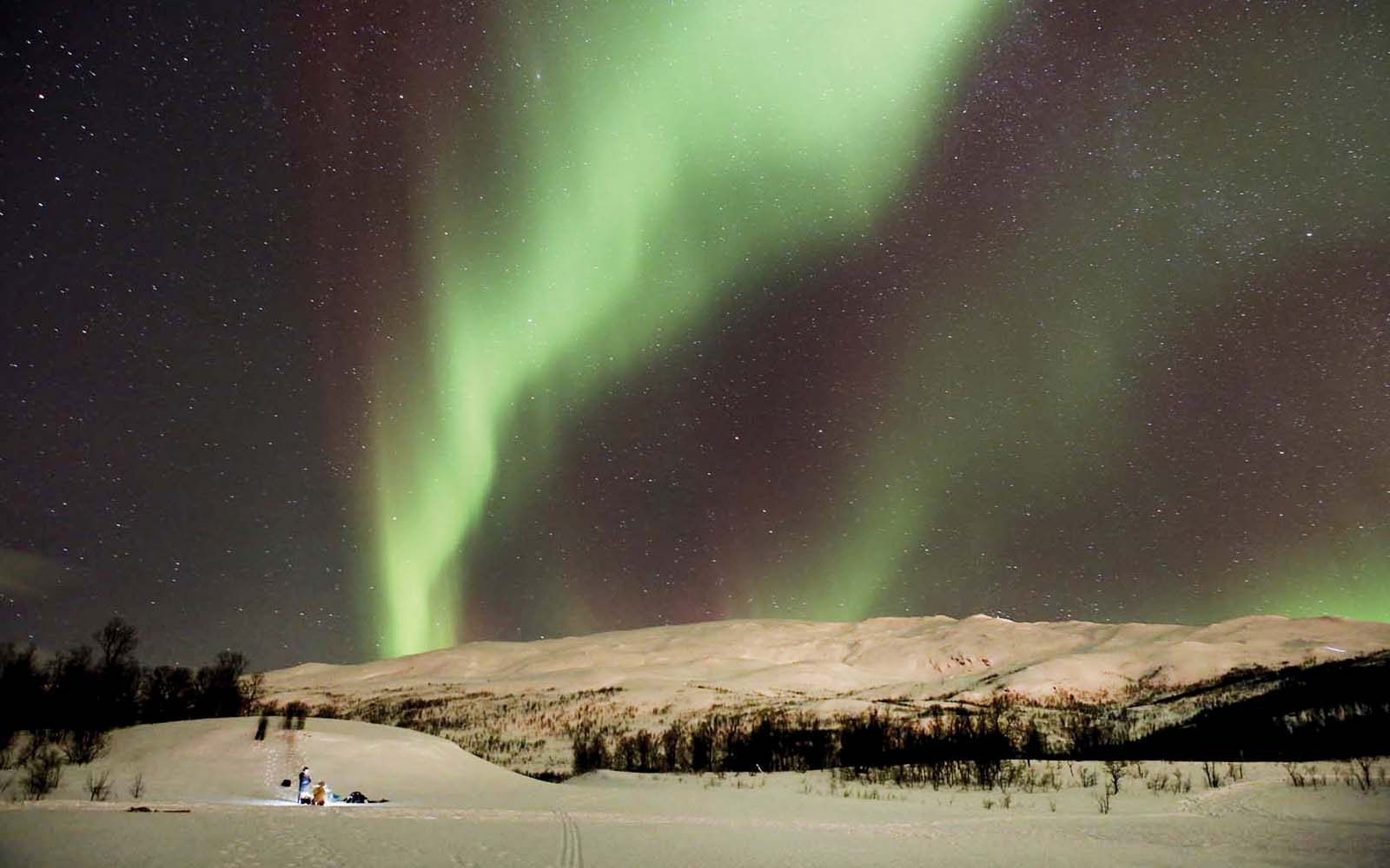 Tromso: Northern Lights, Reindeer and Sami Experiences