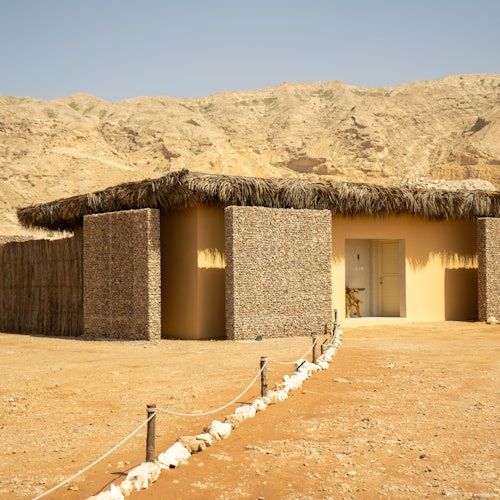 Dune Buggy Experience & Fossil Discovery in Mleiha National Park