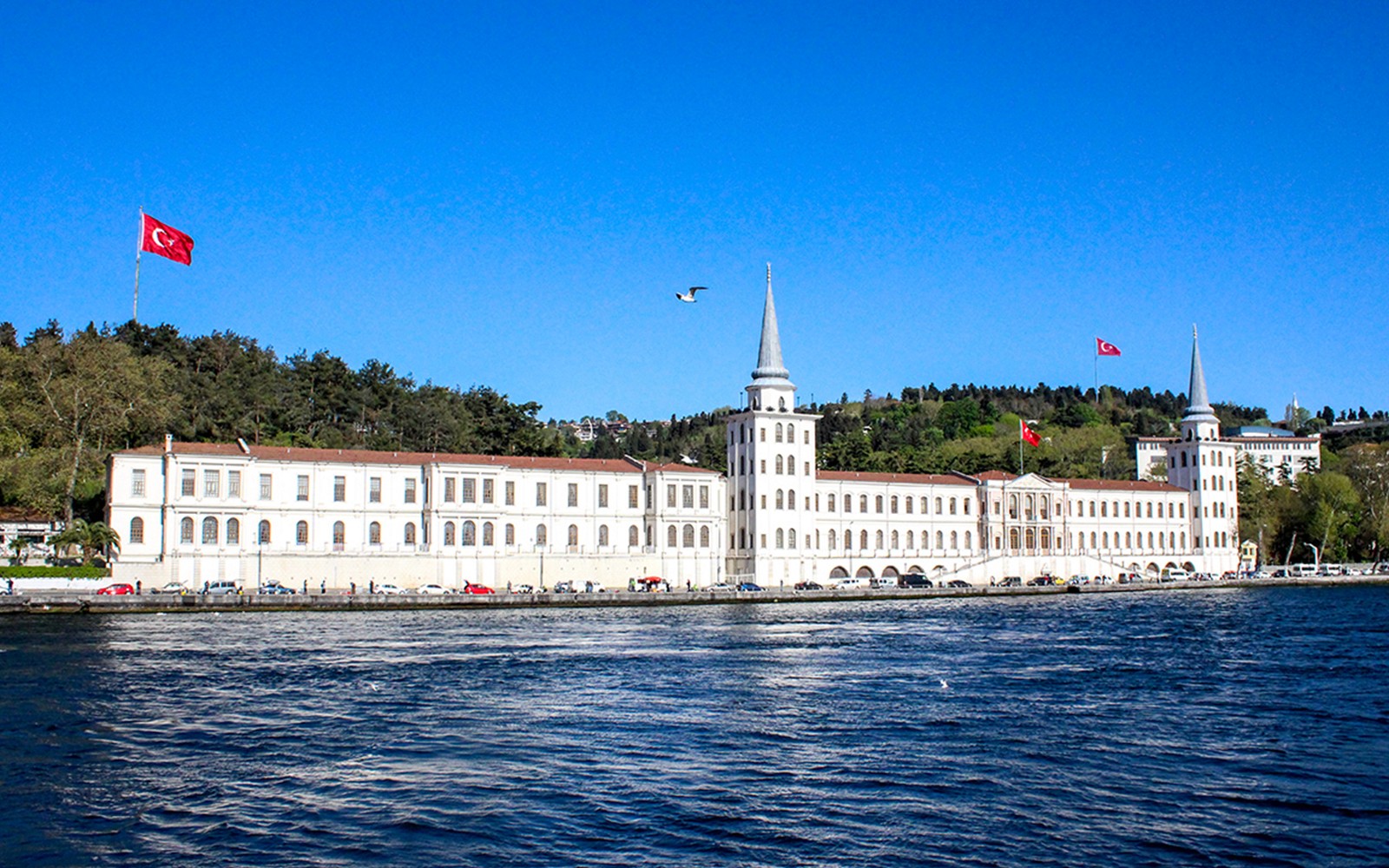 Combo: Istanbul Bosphorus Cruise + Topkapi Palace Tickets/Hagia Sophia Tour