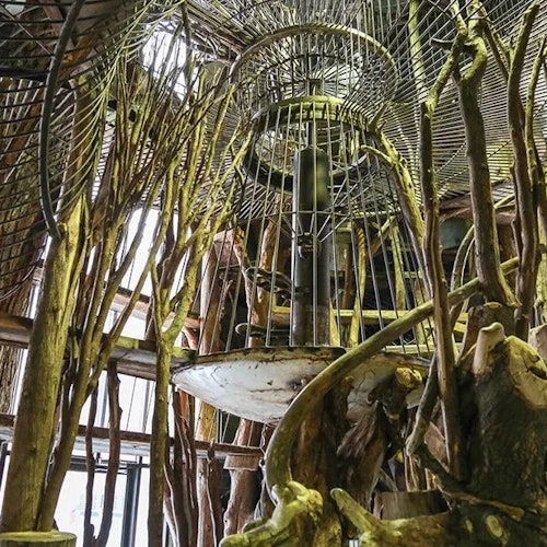 Denver Museum of Nature & Science: Entry Ticket — gallery 1