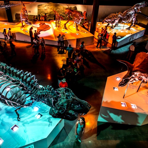 Houston Kid's Choice: Museum Pass — gallery 1