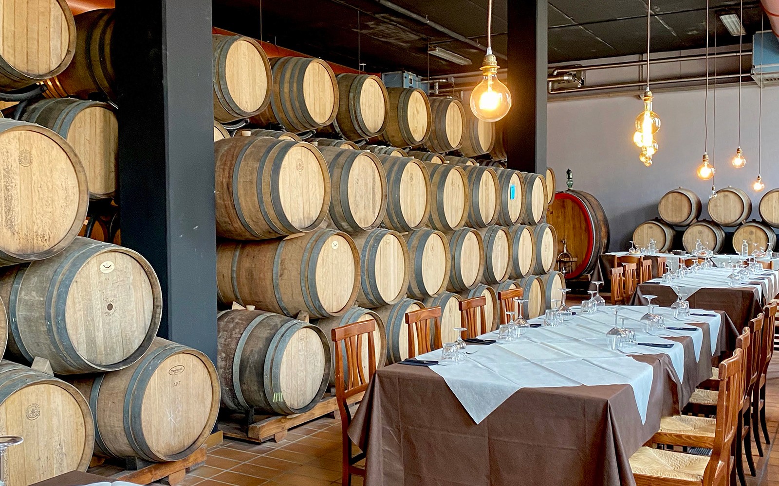 Chianti Region Guided Tour with Local Tastings and Vineyards — gallery 4