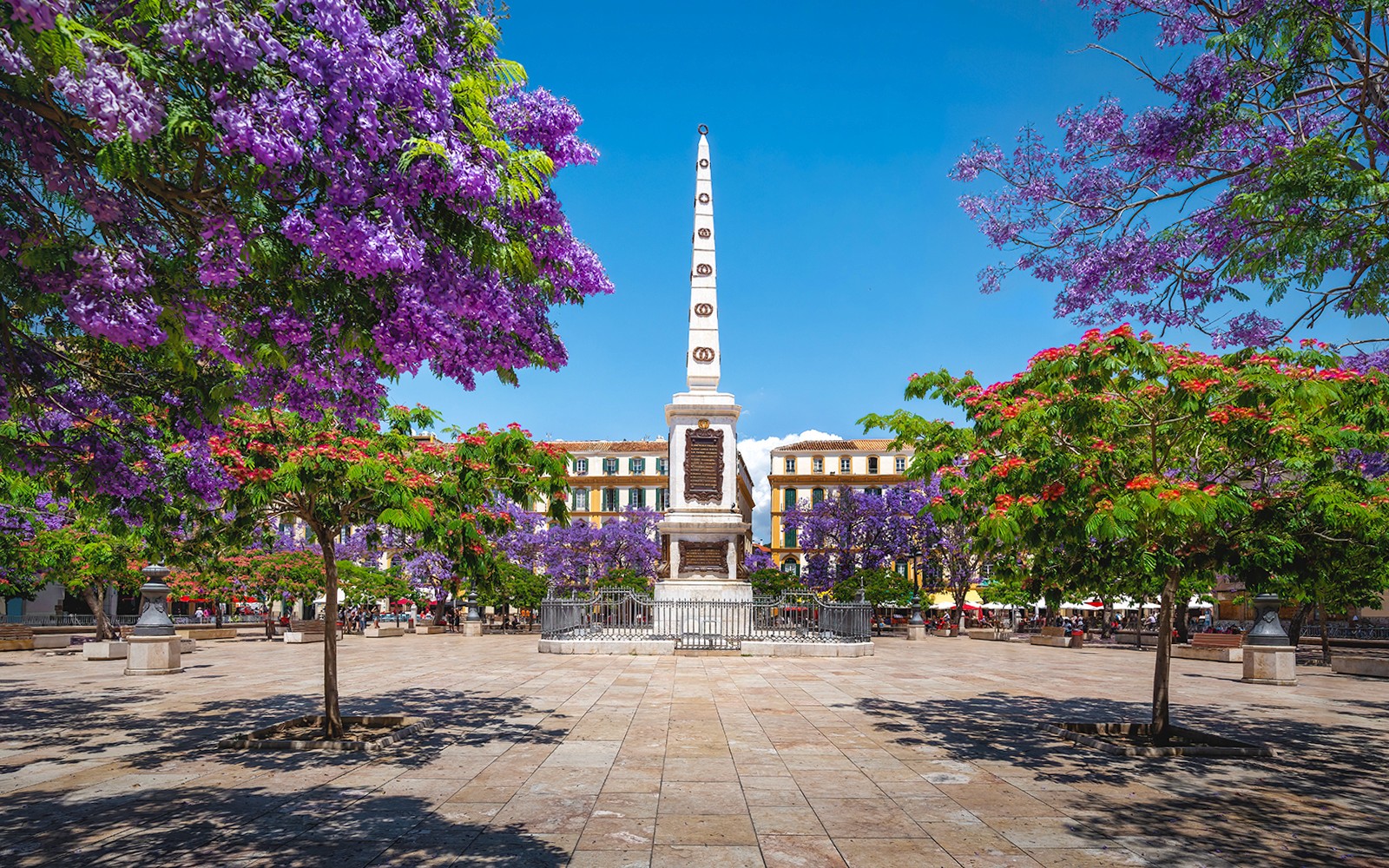 1.5-Hour Guided Tour of Málaga and the Cathedral of Málaga — gallery 2