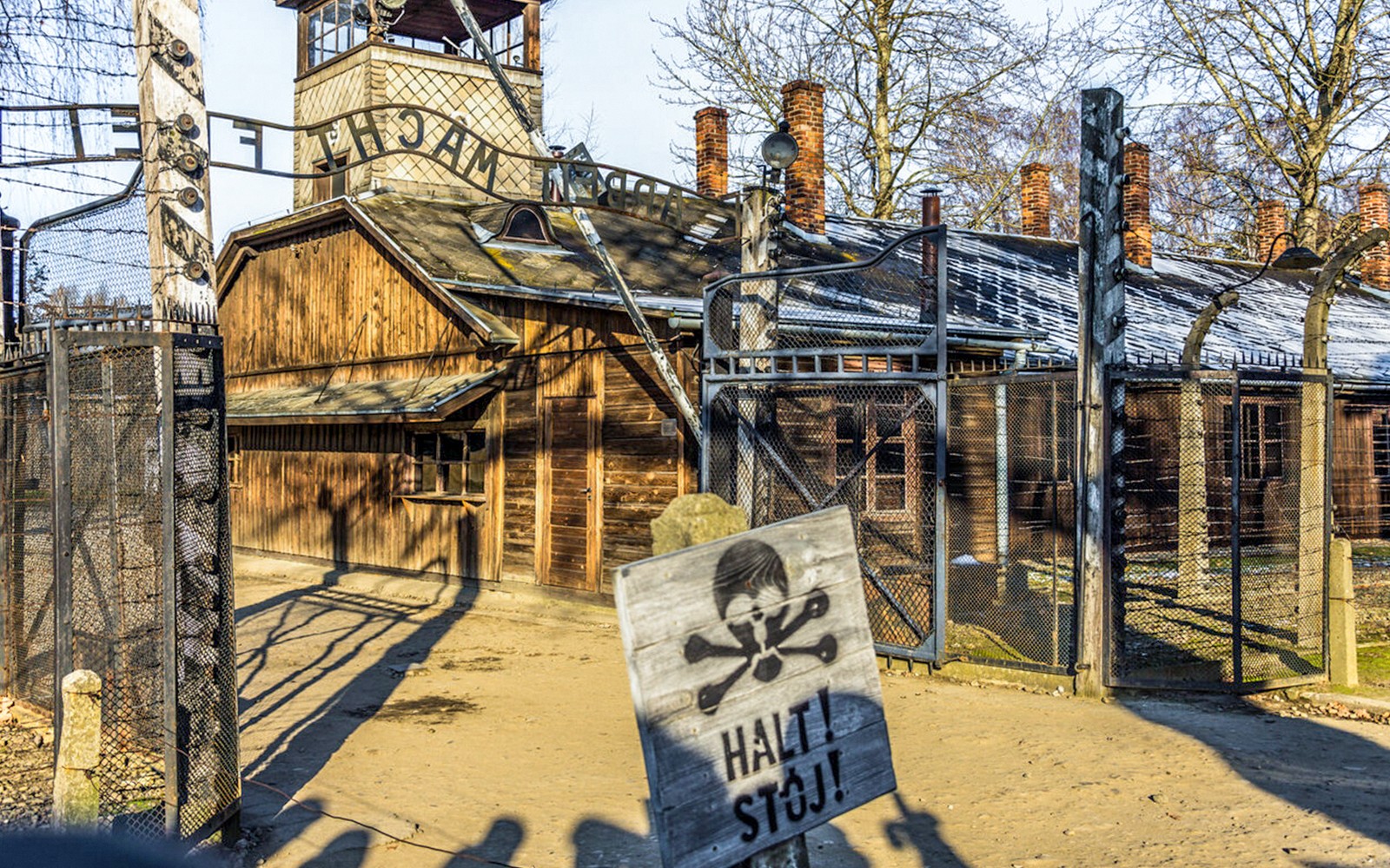 From Krakow: Auschwitz-Birkenau Guided Tour with Hotel Transfers — gallery 2
