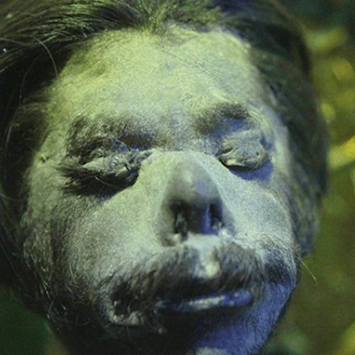 Ripley's Believe It or Not! San Antonio: 4-Attraction Pass — gallery 1