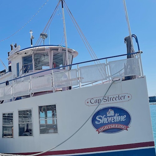 Chicago: Skyline Lake Tour