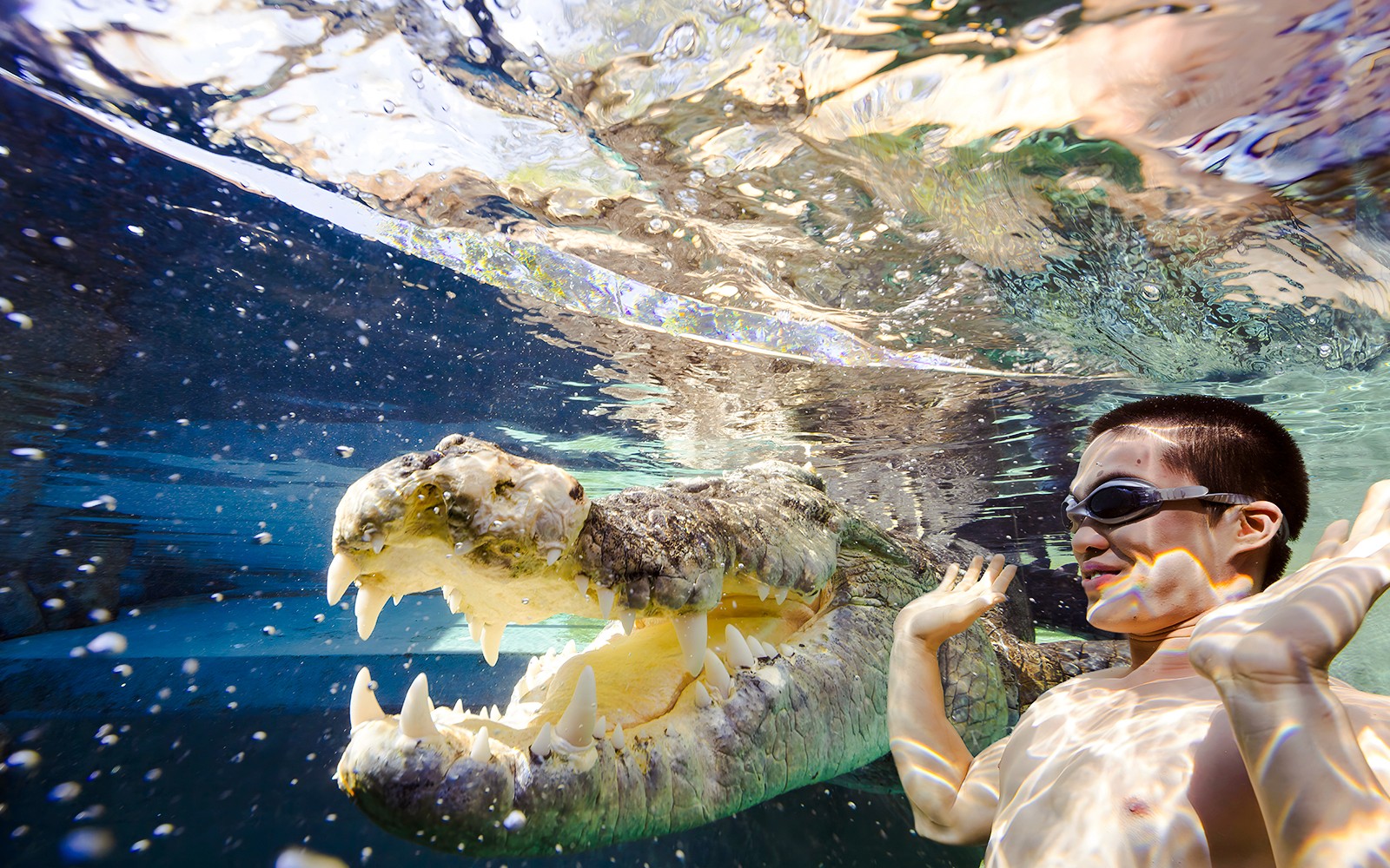 Crocosaurus Cove Tickets with Cage of Death Experience