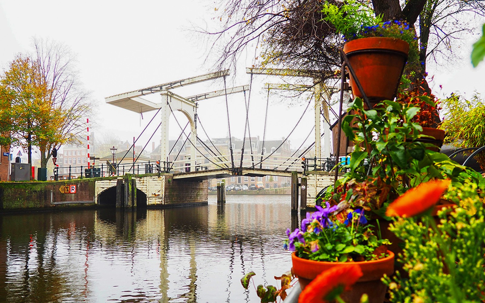 Small-Group Amsterdam Hidden Gems Walking Tour — gallery 5