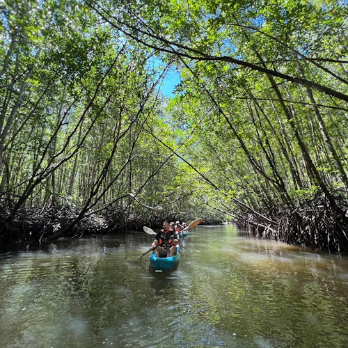 Krabi: Ao Thalan Sunset Kayak Tour with BBQ Dinner — gallery 1