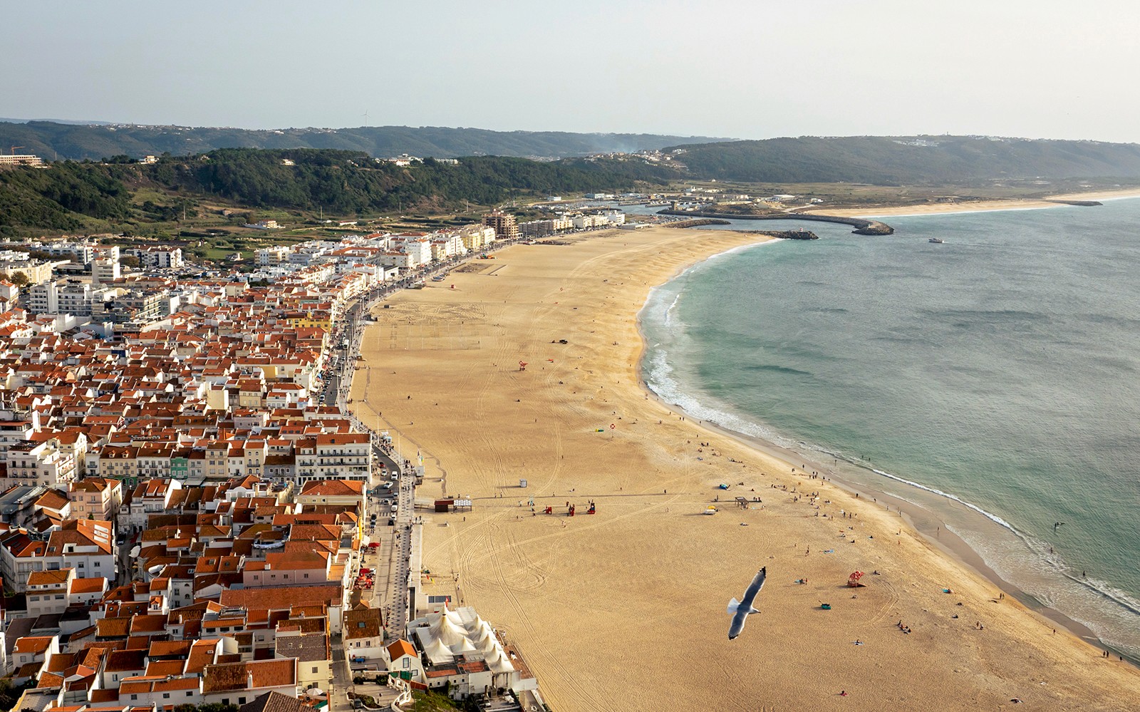 Full-Day Guided Tour of Porto, Nazaré & Óbidos from Lisbon — gallery 3