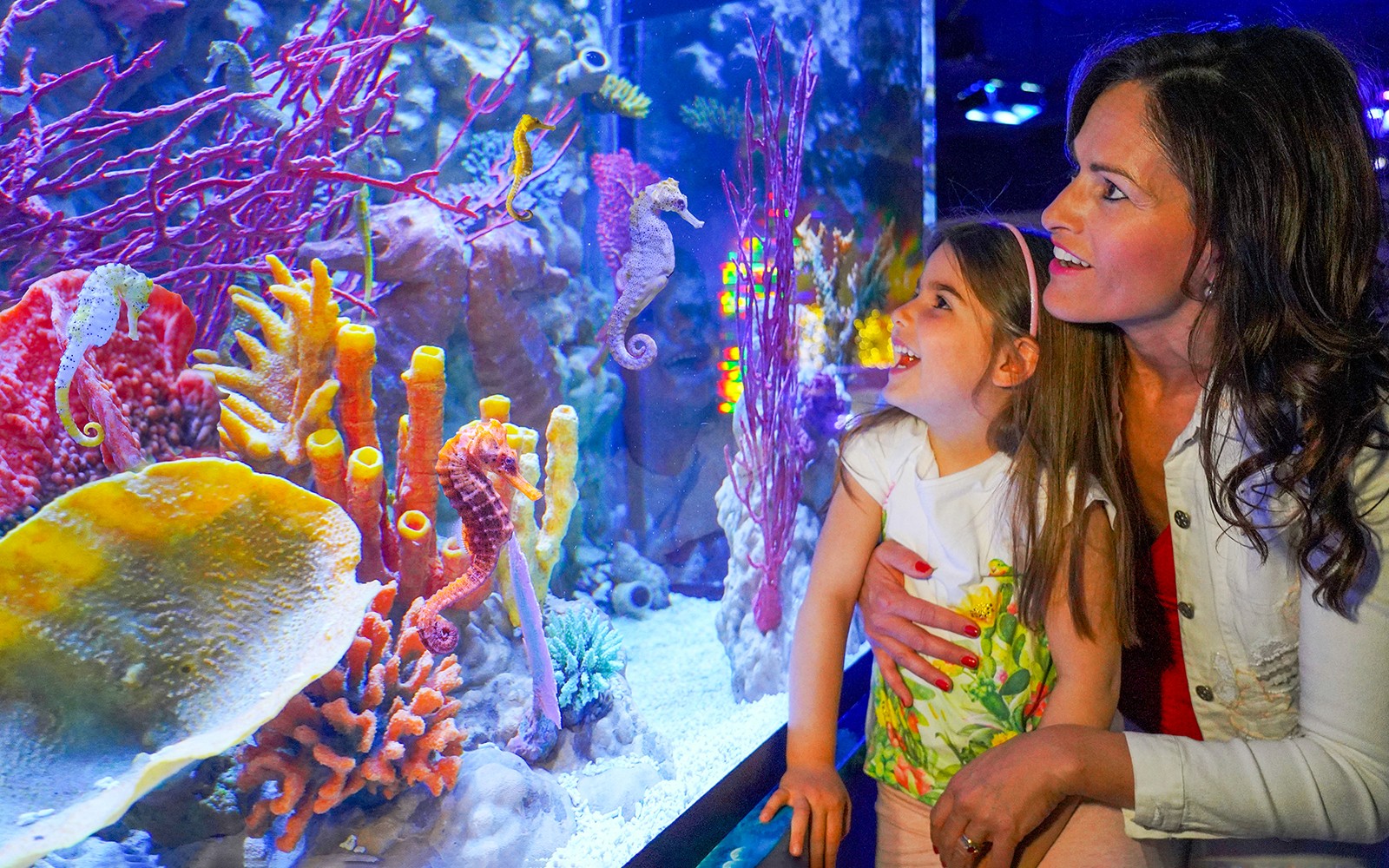 Gardaland Sea Life Aquarium Entry Tickets — gallery 2