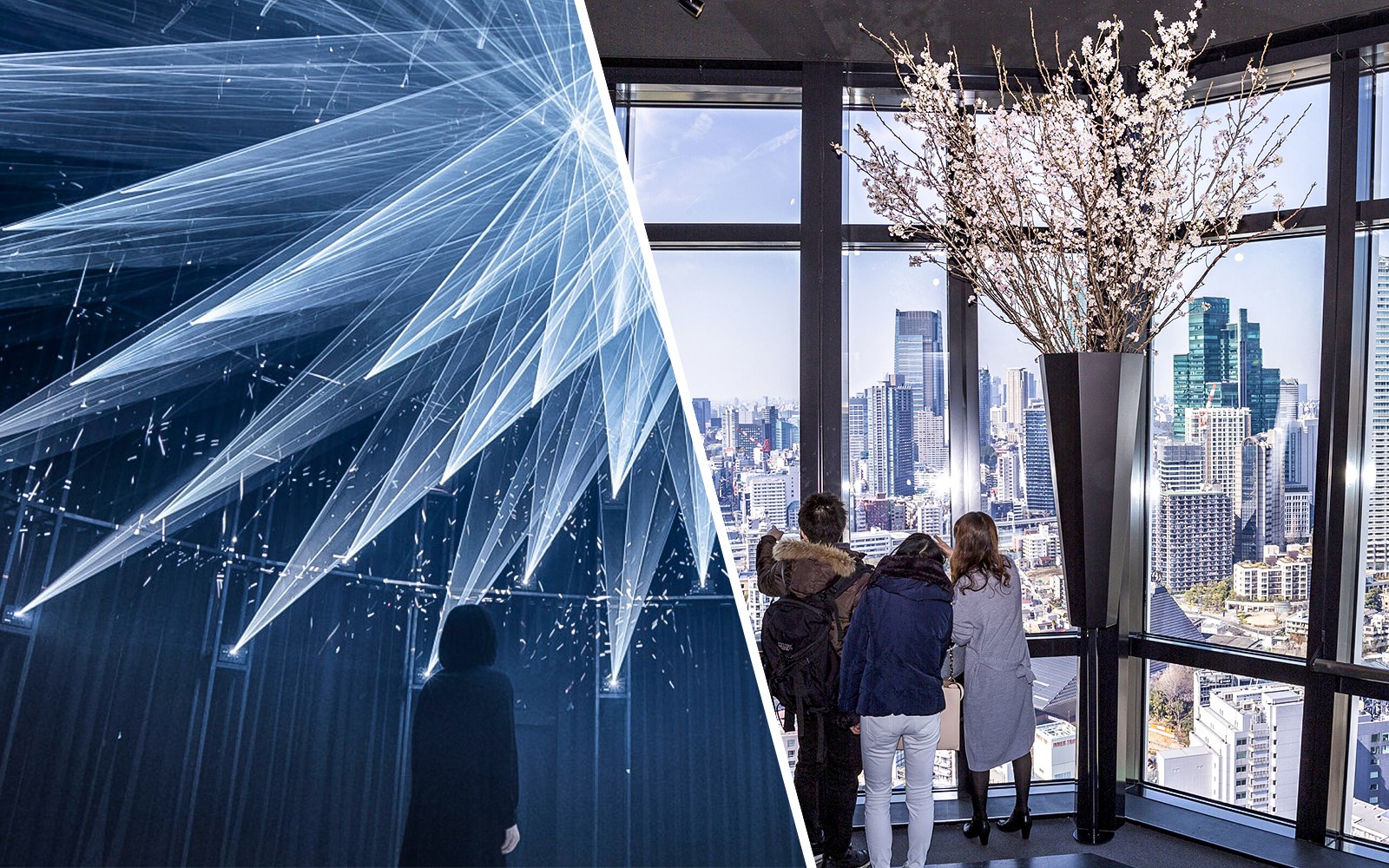 Combo (Save 7.5%): teamLab Planets TOKYO + Tokyo Tower Main Deck Tickets