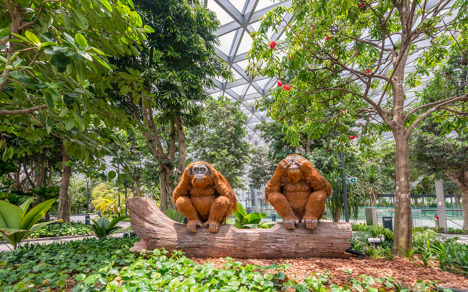 Jewel Changi Canopy Park Tickets with Nets — gallery 4