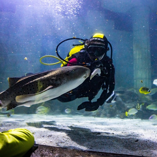 SEA LIFE Porto: Entry Ticket — portrait