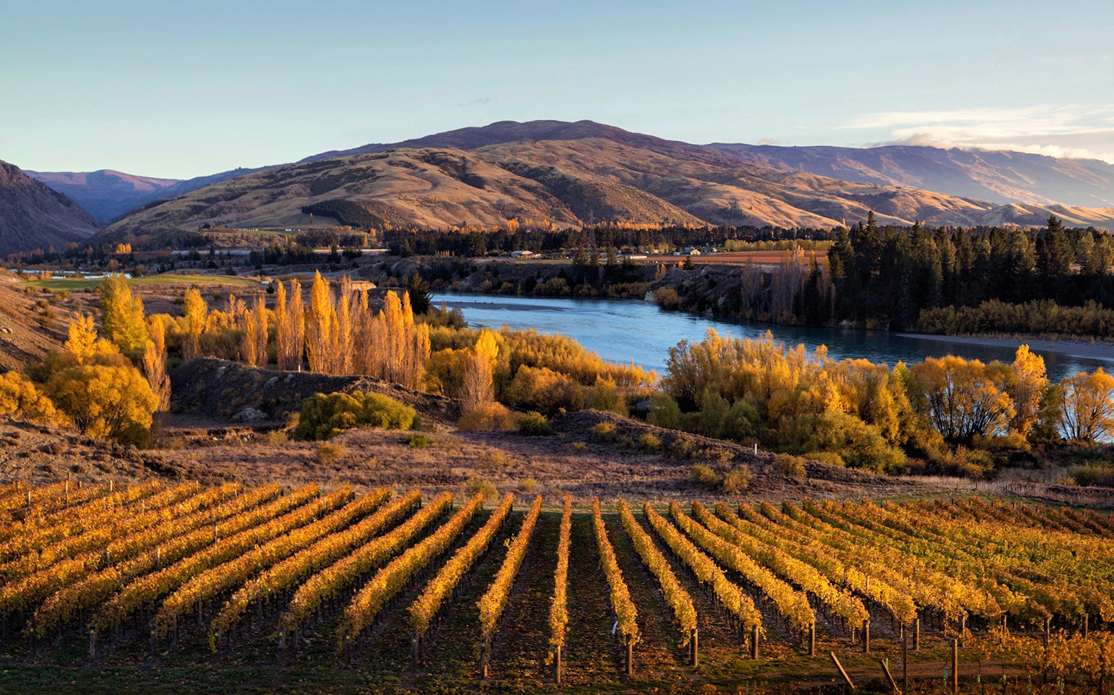 Gourmet Food and Wine Tour From Queenstown