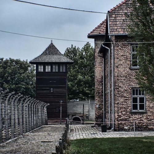 Auschwitz-Birkenau: Guided Tour + Transport + Lunch