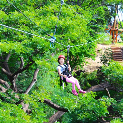 Coral Crater Park: Zipline Adventure — gallery 1