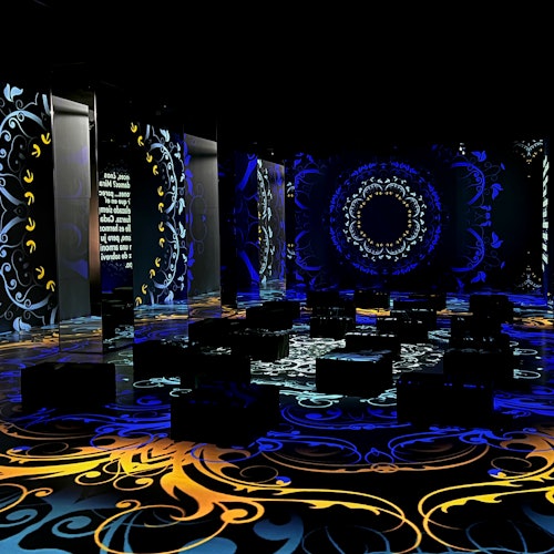 Nomad Immersive Museum: Entry Ticket — gallery 2