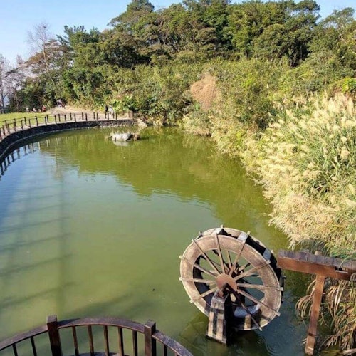 Pinglin Tea Culture & Maokong: Guided Day Tour from Taipei + Gondola Ride — gallery 1