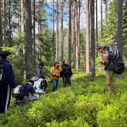 Helsinki: Magical Taiga Forest Hike — gallery 5