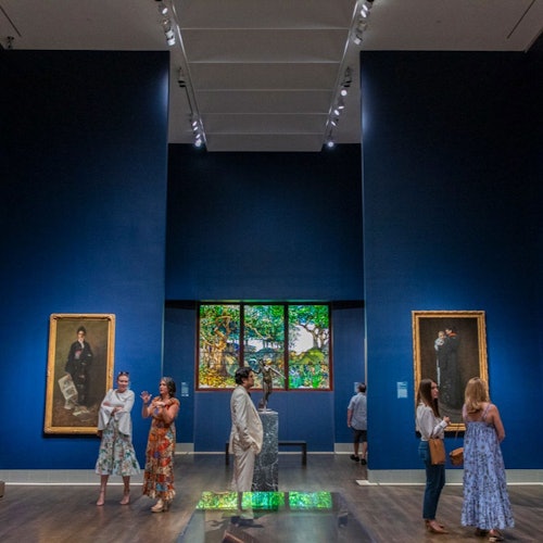 The Museum of Fine Arts, Houston: ALL ACCESS Ticket — gallery 1