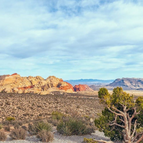 Red Rock Canyon: Self-Guided Driving Tour — gallery 4