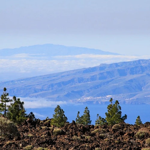 Tenerife: Half-Day Guided Tour to Teide National Park — gallery 1