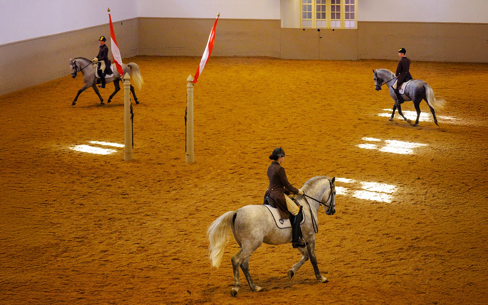 Spanish Riding School Guided Tour