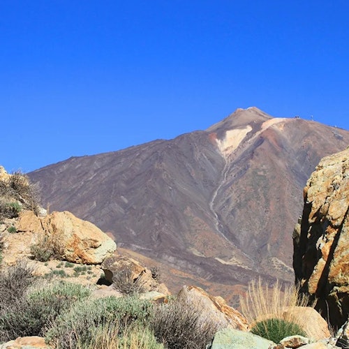 Tenerife: Half-Day Guided Tour to Teide National Park — gallery 5