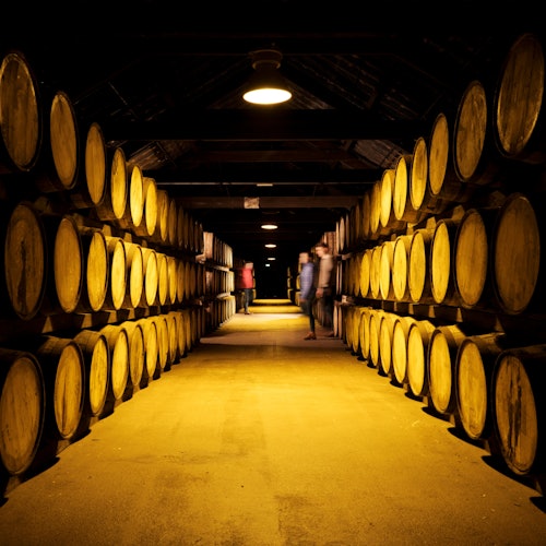 Midleton Distillery Experience & Whiskey Tasting - Home of Jameson — gallery 2