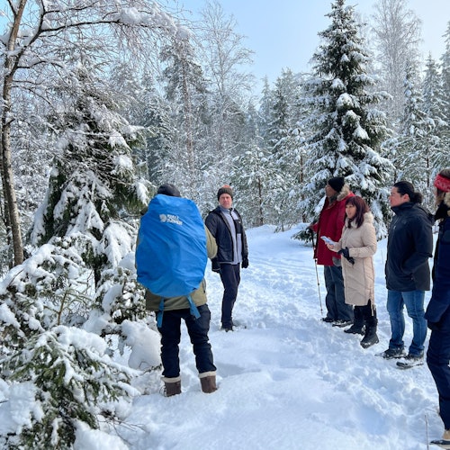 Helsinki: Winter Wonderland Hike