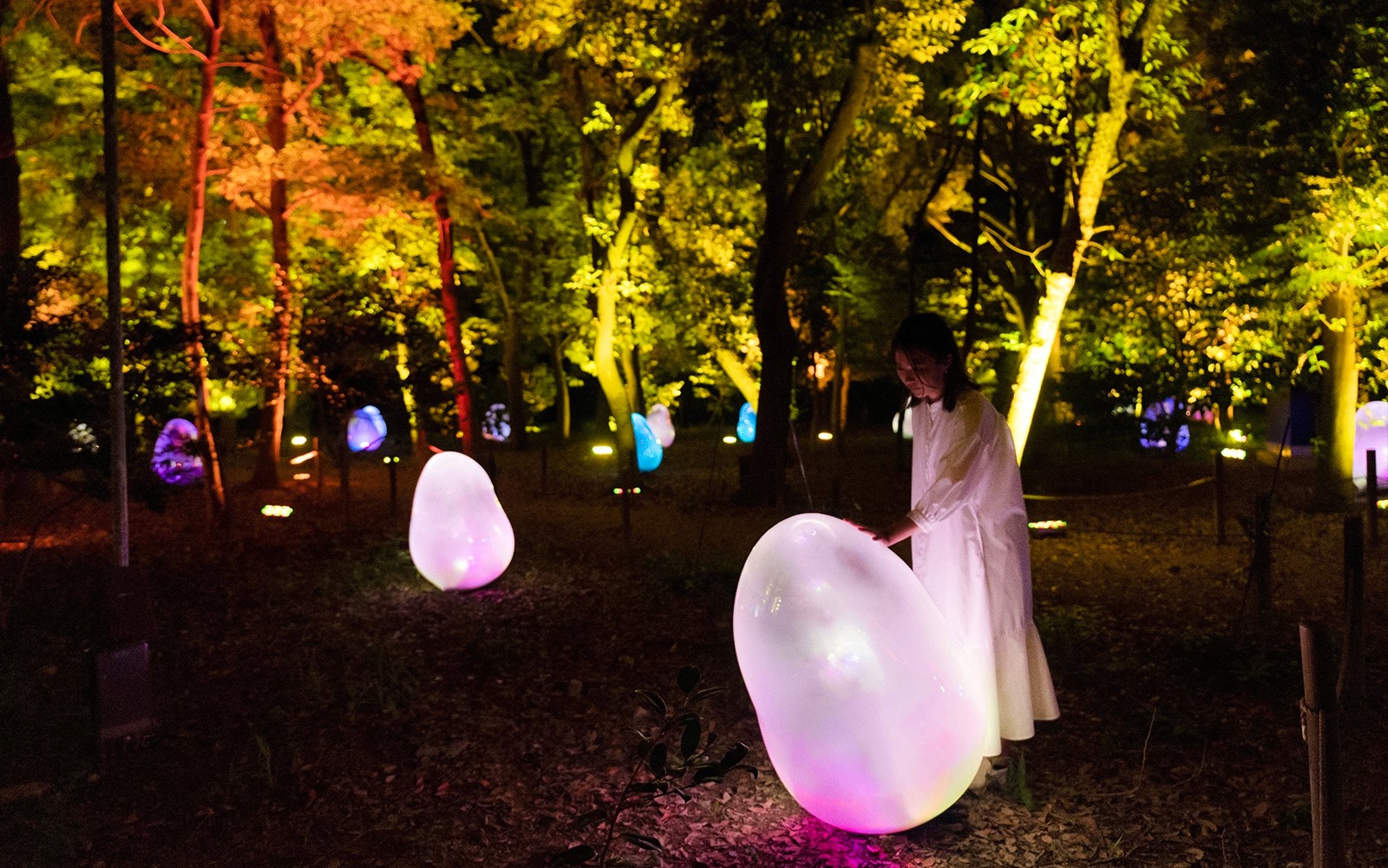 Tickets to teamLab Botanical Garden in Osaka — gallery 1